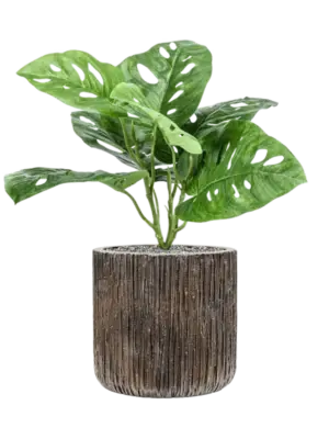 Artificial glued