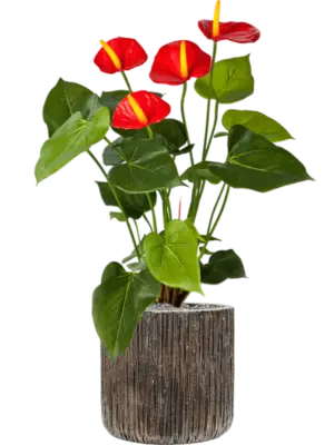Artificial glued