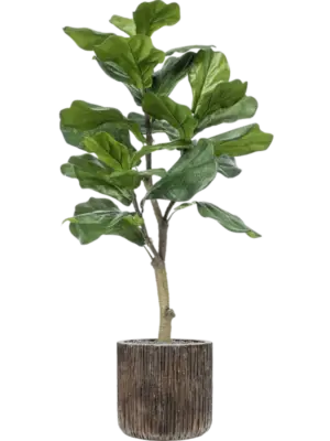 Artificial glued