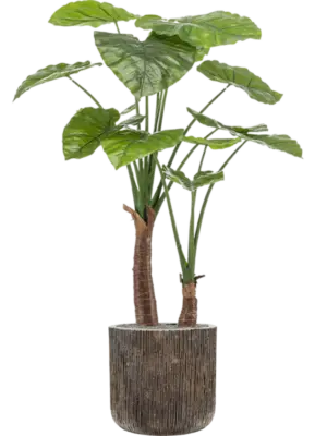 Artificial glued