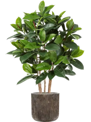 Artificial glued