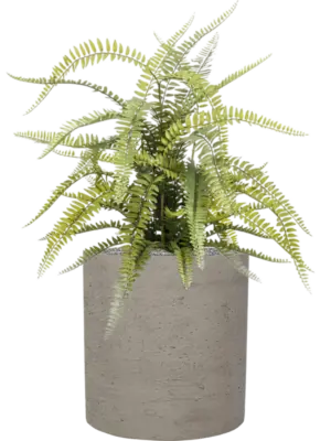 Artificial glued