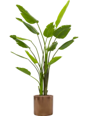 Artificial glued with Bark