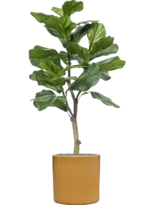 Artificial glued