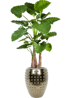 Artificial glued
