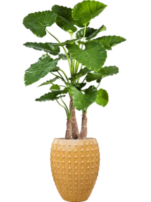 Artificial glued