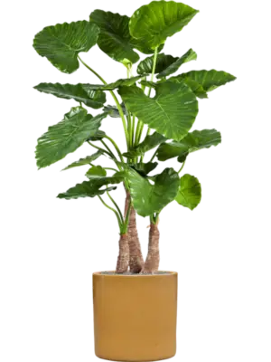 Artificial glued
