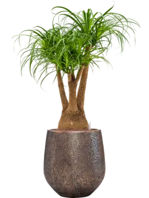 Hydroculture