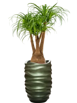 Hydroculture