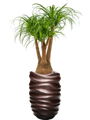 Hydroculture