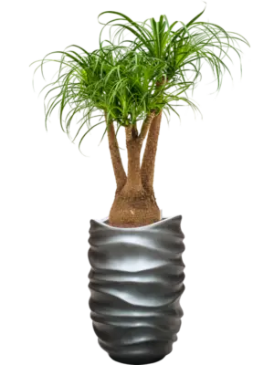 Hydroculture