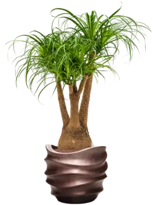 Hydroculture