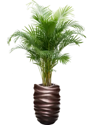 Soil (Vulkastrat)