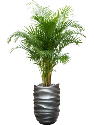 Soil (Vulkastrat)