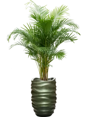 Soil (Vulkastrat)