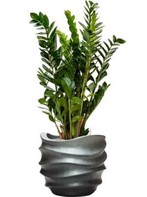 Soil (Vulkastrat)