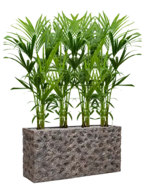 Soil (Vulkastrat)