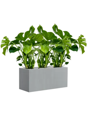 Soil (Vulkastrat)