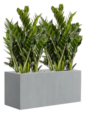 Soil (Vulkastrat)