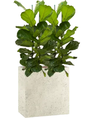 Hydroculture