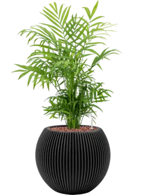 Hydroculture