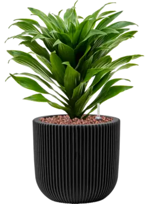 Hydroculture
