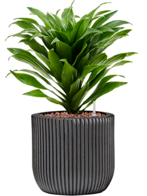 Hydroculture