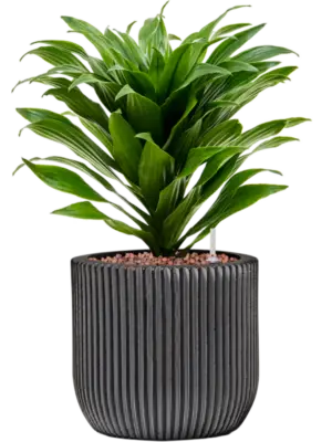 Hydroculture