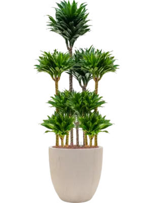 Hydroculture