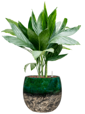 Hydroculture