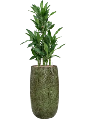 Hydroculture