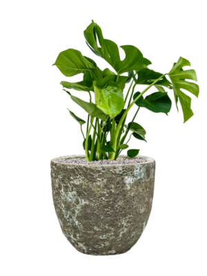 Soil (Vulkastrat)