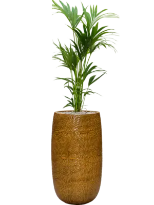 Soil (Vulkastrat)
