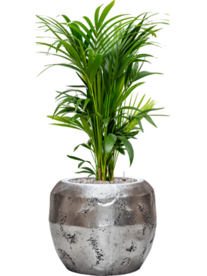 Soil (Vulkastrat)