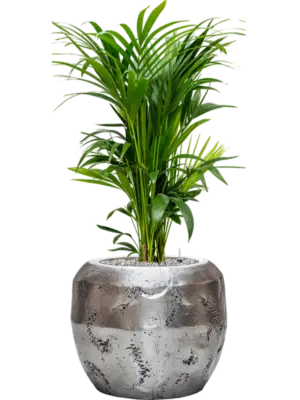 Soil (Vulkastrat)