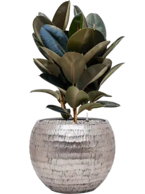 Soil (Vulkastrat)