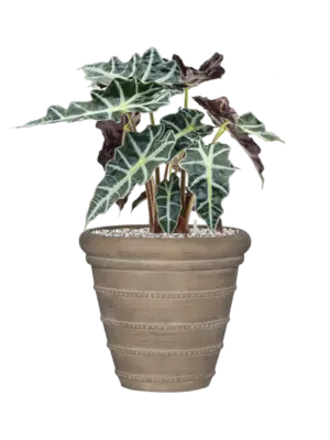 Soil (Vulkastrat)