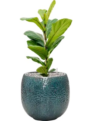 Soil (Vulkastrat)