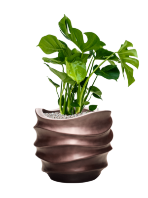 Soil (Vulkastrat)