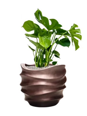 Soil (Vulkastrat)