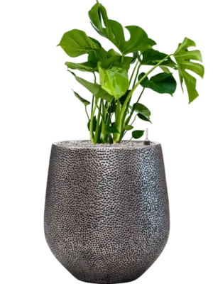 Soil (Vulkastrat)
