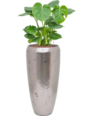 Hydroculture