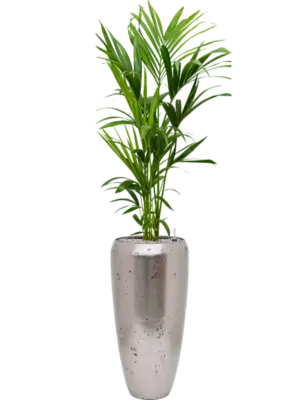 Soil (Vulkastrat)