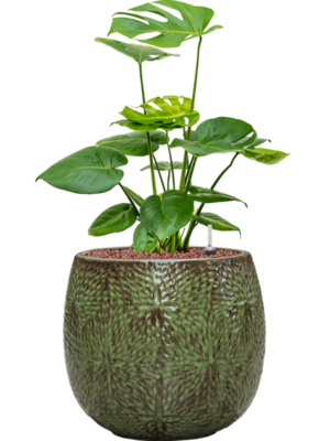 Hydroculture