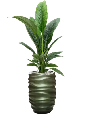 Soil (Vulkastrat)