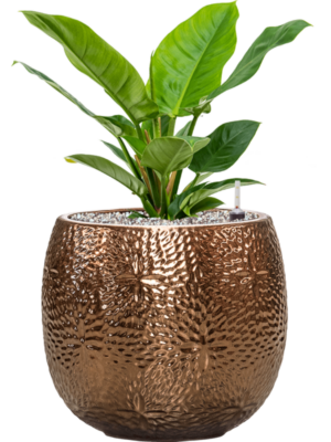 Soil (Vulkastrat)