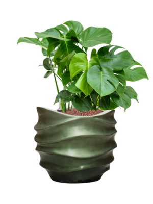 Hydroculture