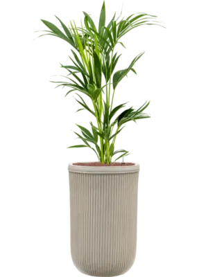 Hydroculture