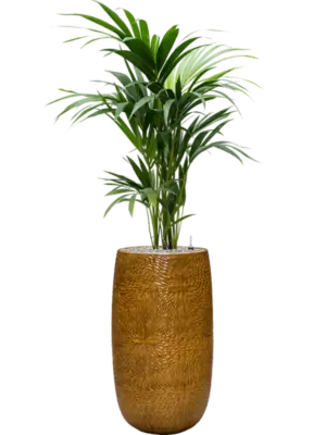 Soil (Vulkastrat)