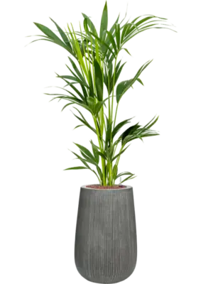 Hydroculture